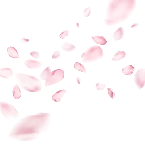 Cherry_blossom_petals_png-removebg-preview